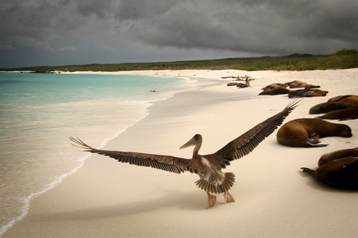 Espanola, Galapagos
