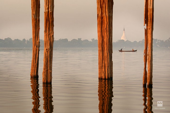 Riverine life, copyright Massimiliano Fabrizi