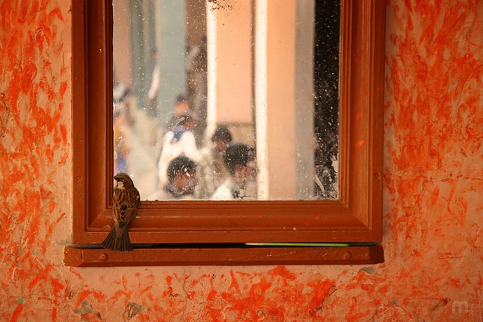 Bikaner, copyright Massimiliano Fabrizi