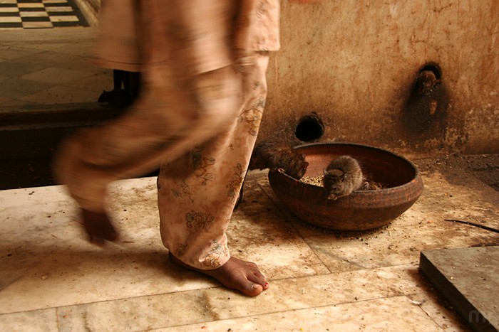 Bikaner, copyright Massimiliano Fabrizi