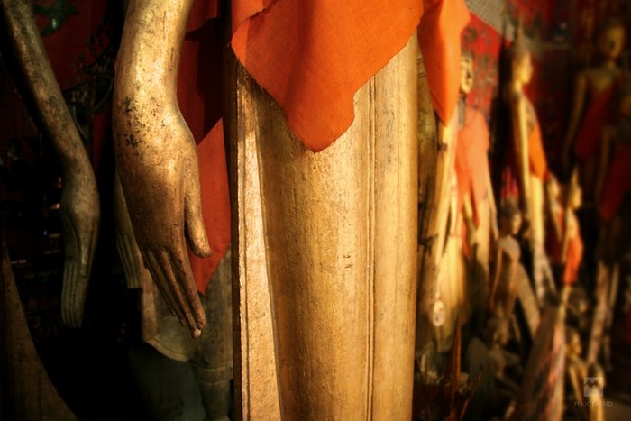 Spiritual hand, copyright Massimiliano Fabrizi