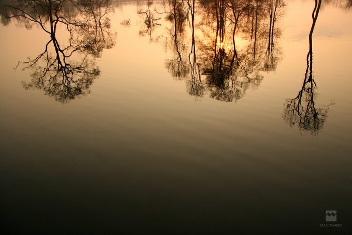 Point of view, copyright Massimiliano Fabrizi