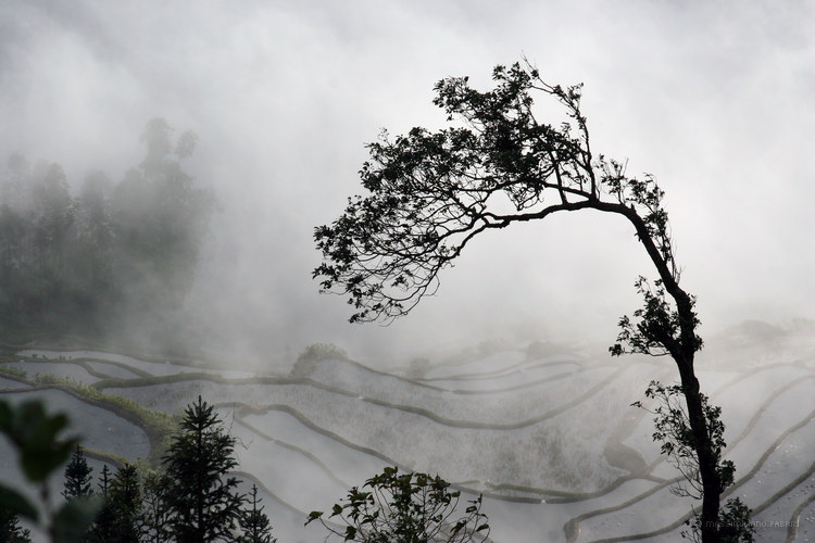 The Grid, China (1), copyright Massimiliano Fabrizi