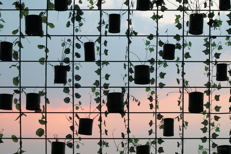 The Grid, China (2), copyright Massimiliano Fabrizi