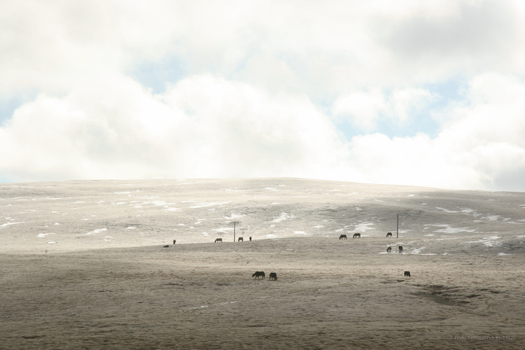 Road to Lhasa (1), copyright Massimiliano Fabrizi