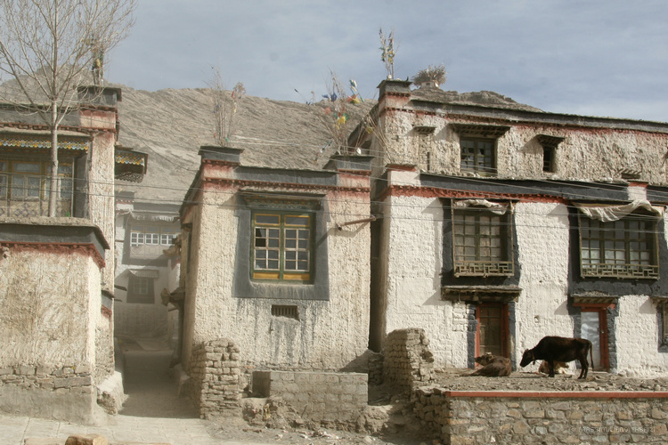 Road to Lhasa (6), copyright Massimiliano Fabrizi