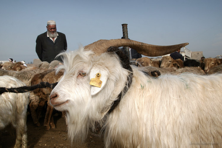 Uyghurs (15), copyright Massimiliano Fabrizi